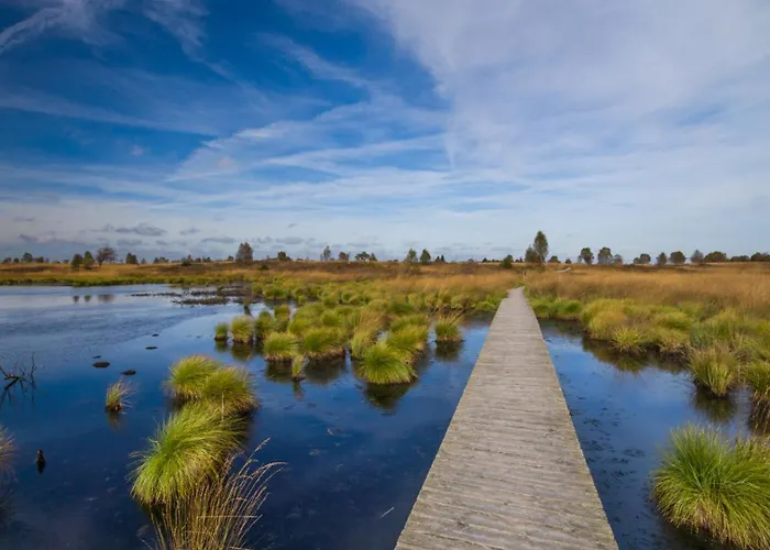 Sixine House, Long Weekend Special Ovifat